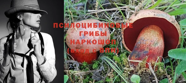 спайс Семёнов