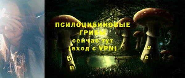 соль ск Пыталово