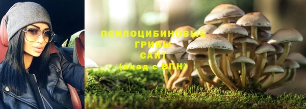 дживик Семикаракорск