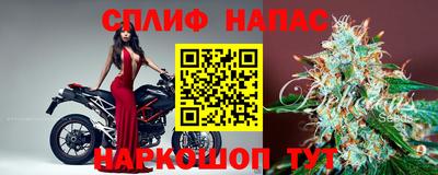 Альфа ПВП Дубна