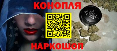 Альфа ПВП Дубна