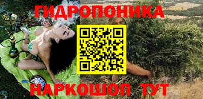 Альфа ПВП Дубна