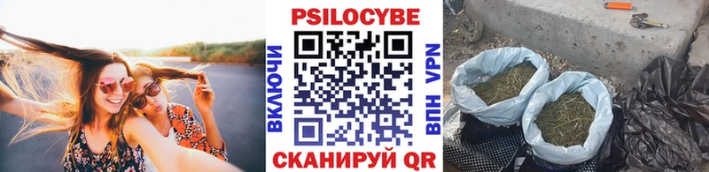 Галлюциногенные грибы прущие грибы  Спасск-Дальний 