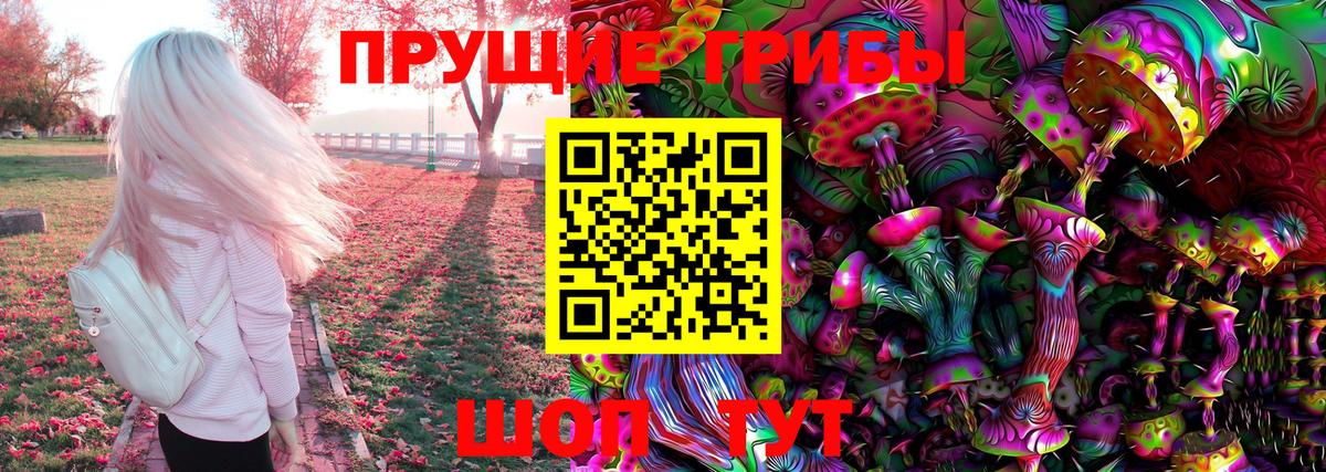 Галлюциногенные грибы Cubensis  Вход с VPN  Спасск-Дальний 